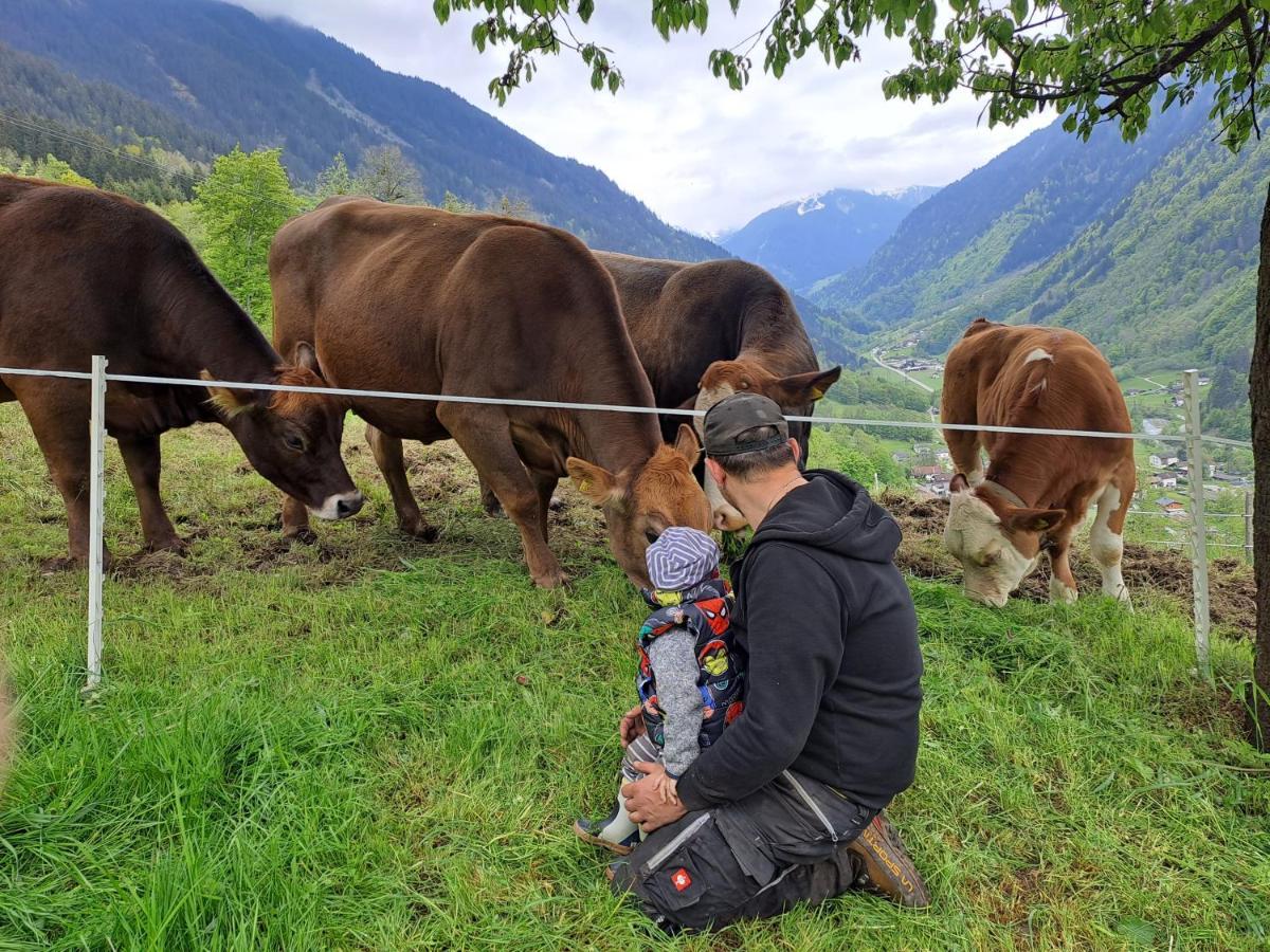 Alpenbauernhaus Konzett Schruns Extérieur photo